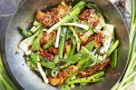 American Chicken And Spring Onion Stirfry Recipe Appetizer