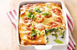 American Spring Vegetable Lasagne Recipe Appetizer