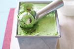 Choc Mint Icecream Recipe recipe