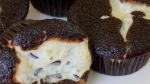 Creamy Chocolate Cupcakes Recipe recipe