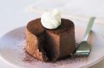 Chocolate Truffle Dessert Recipe recipe