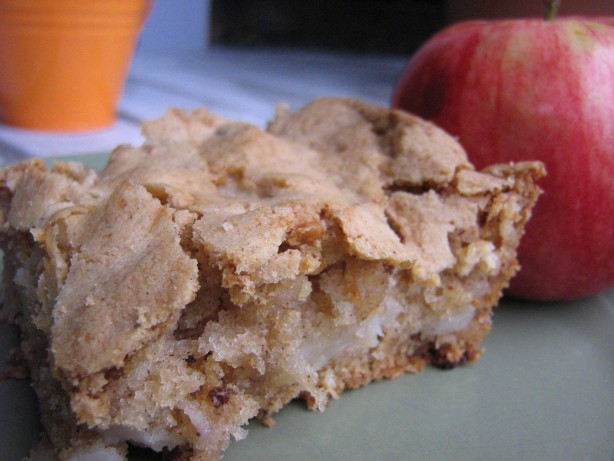 American Apple Nut Torte 1 Appetizer