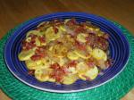 American Southern Yellow Squash with Onions Appetizer
