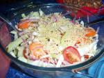 American Salad With Parmesan Cheese salata Ma Jibna Appetizer