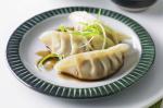 Japanese Chicken Gyozas Recipe Appetizer