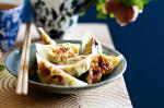 Japanese Gyozas Recipe Appetizer