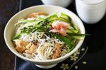 Japanese Salmon Soba Noodle Salad Recipe Appetizer