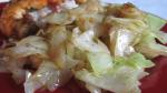 Hungarian Toasted Cabbage Hungarianstyle Appetizer