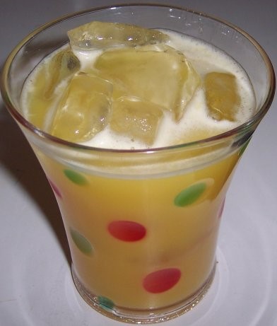 American Orange Juice Spritzer Appetizer