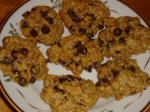 Canadian Mrs Fields Chocolate Chip Cookies  My Way Dessert