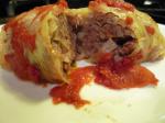 Hungarian Hungarian Cabbage Rolls 9 Appetizer