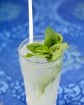 Cucumber Collins Recipe recipe