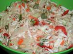 American Shredded Asian Salad Appetizer