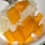 Thai Mangoes with Sticky Rice Dessert