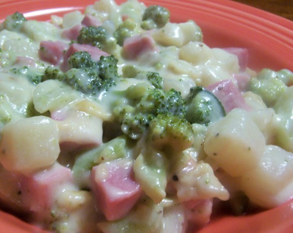 American Ham and Broccoli Casserole 14 Appetizer