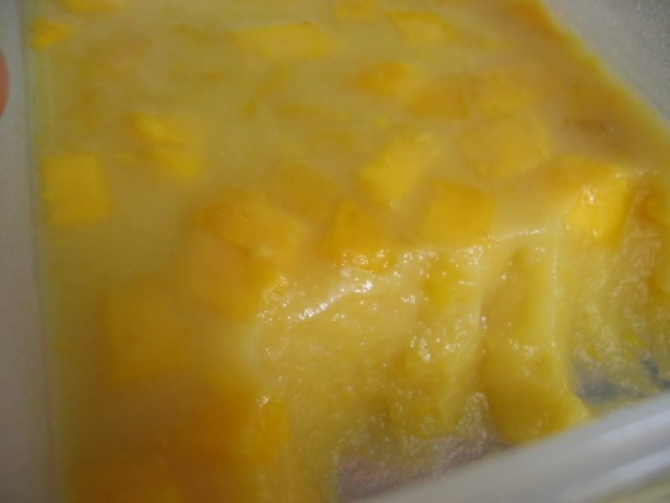 Chinese Mango Pudding 16 Dessert