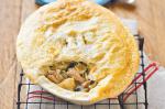 American Chicken Fennel And Parsnip Pie Recipe Appetizer