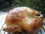 French Poulet Roti roast Chicken Appetizer