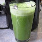 American Green Juice with Kale Appetizer