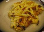 American Creamy Baked Macaroni And Cheese Dinner