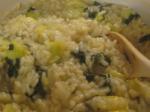 American Squash and Kale Risotto Dinner