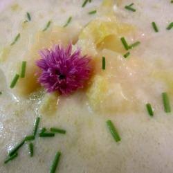 American Creamy Soup of Potatoes and Leek Appetizer