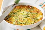Canadian Vegetable Frittata Recipe 14 BBQ Grill