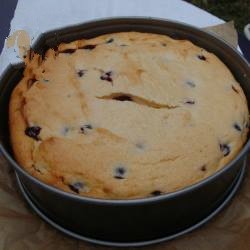 American Cheese Cake with Pastry Floor and Raisins Appetizer