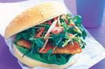 British Cheesy Fish Burgers Recipe Appetizer