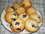 American Blueberry Muffins with Splenda Dessert