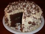 American Triple Malted Chocolate Cake With Vanilla Malted Frosting Dessert