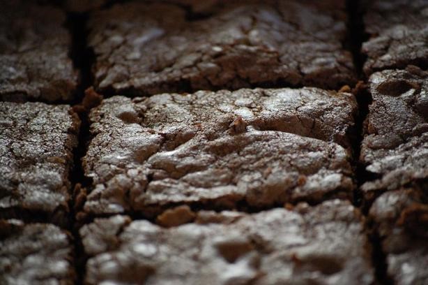 American Deep Dish Brownies 2 Dessert