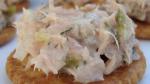Canadian Tuna Fish Salad Recipe Appetizer