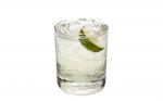 American Virgin Gin and Tonic Recipe Appetizer