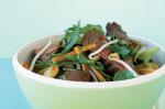 Thai Summer Beef Salad Recipe 1 Appetizer