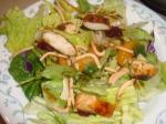 American Orient Express Chicken Salad 1 Dinner
