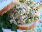 British Caterers Tuna Salad Appetizer