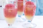 American Pink Grapefruit Fizz Recipe Dessert