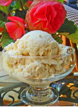 French Jons Sugar Free French Vanilla Ice Cream Dessert