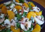 American Spinach and Mandarin Orange Salad 2 Appetizer