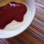 American Coulis of Plums or Quetsches Dessert