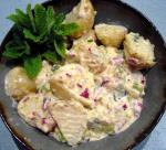 American Warm Mustard Potato Salad 1 Appetizer