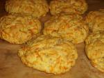 American Carrot and Herb Dinner Biscuits Appetizer