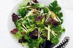 Australian Lemony Leaf Salad Recipe Appetizer