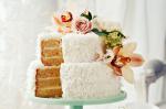 Australian Twotier Coconut Milk Layer Cake Recipe Appetizer