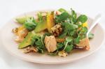American Salmon and Watercress Salad Recipe Appetizer