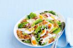 American Chicken Schnitzel Caesar Salad Recipe 1 Appetizer