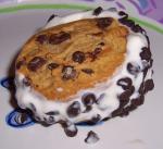 American Homemade Ice Cream Sandwiches 1 Dessert
