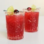 Mexican Cranberry Margarita 1 Appetizer