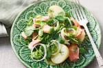 Australian Ocean Trout And Spring Vegetable Salad Recipe Appetizer